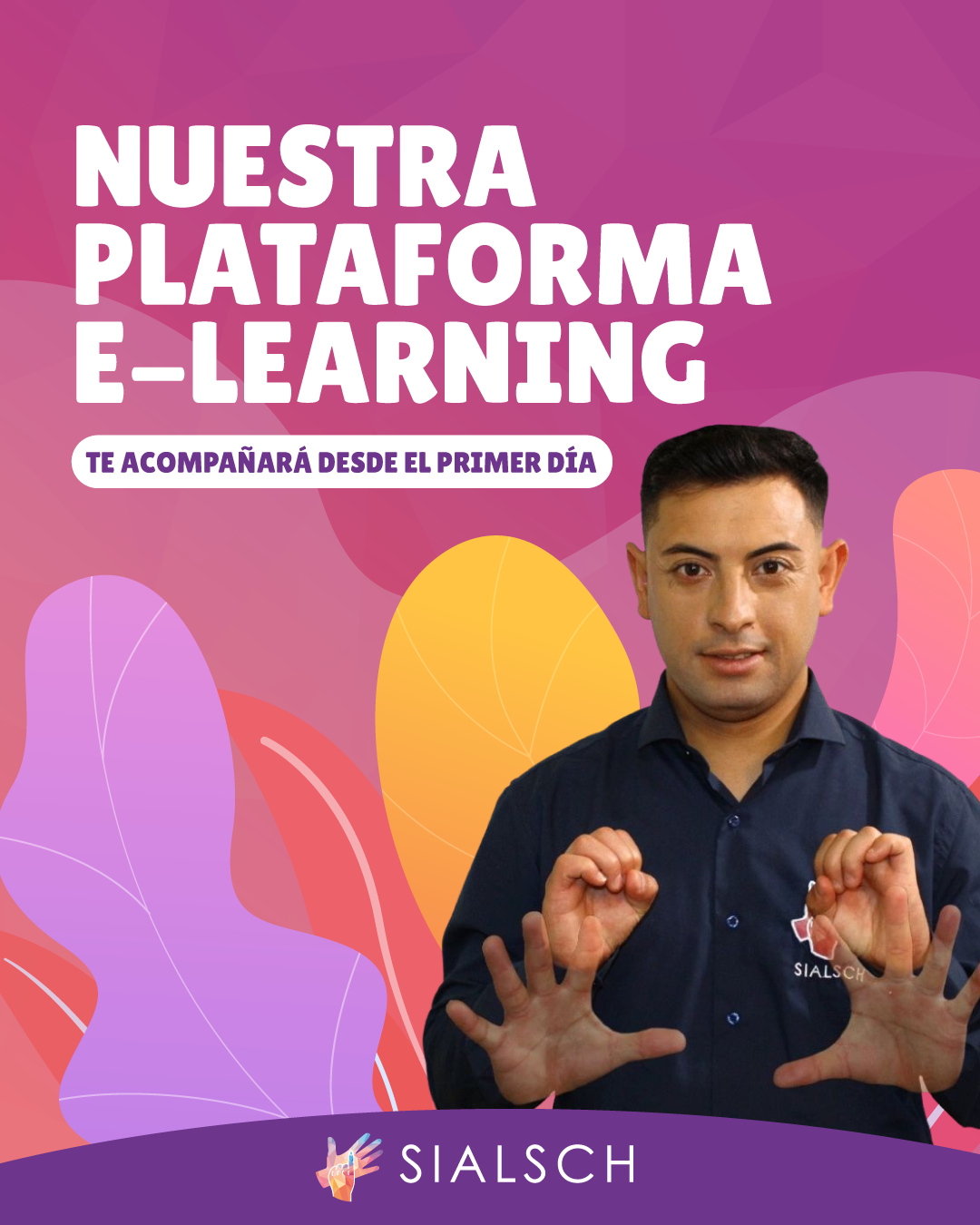 Inicio todos los cursos